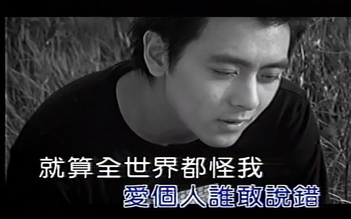 [图]048 稻草人 - 林志颖.mkv