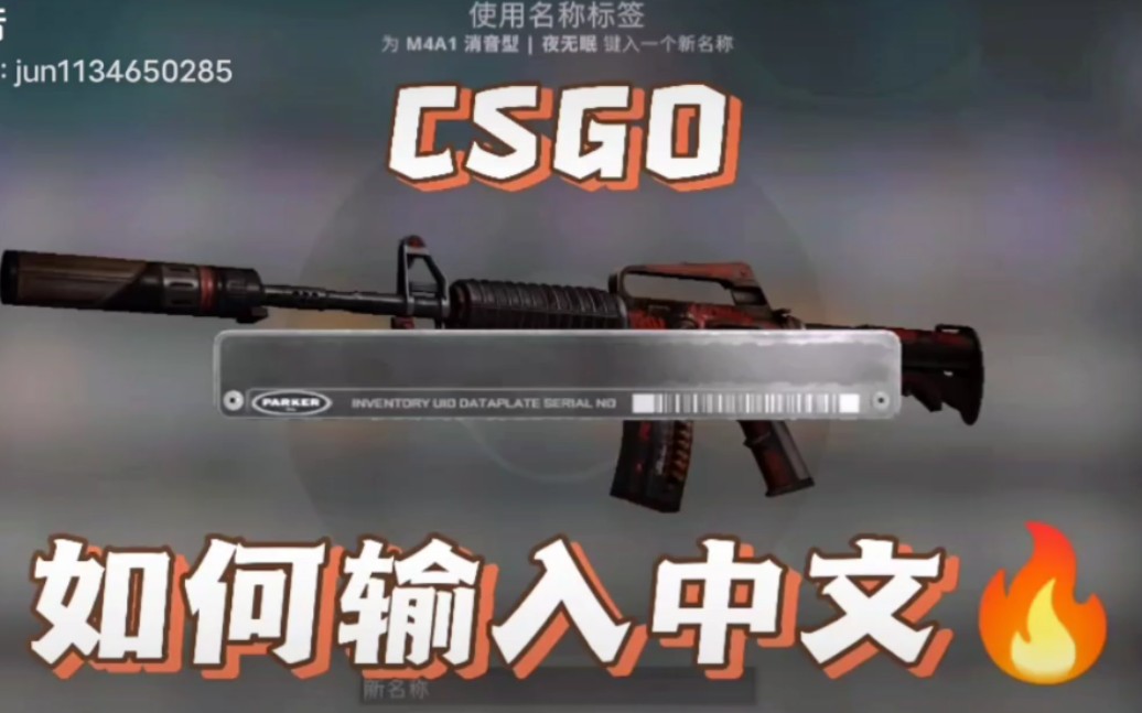 csgo如何在游戏中输入中文?