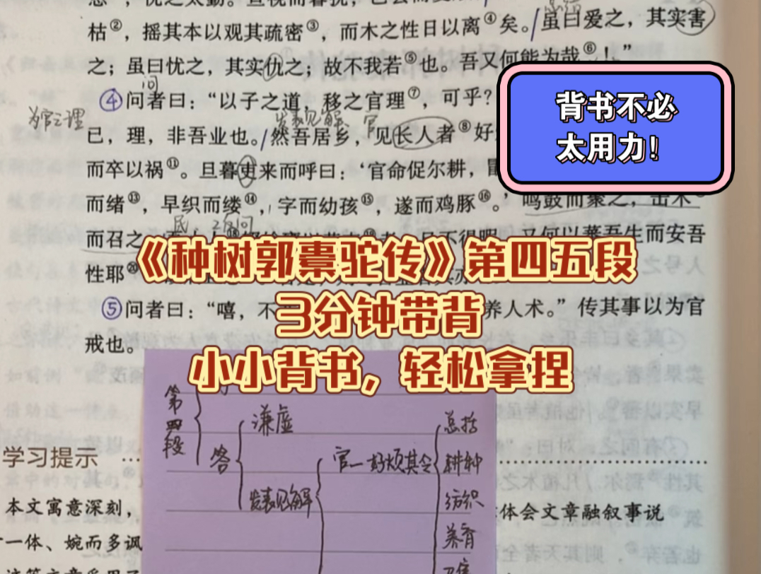 小小背书,拿捏!《种树郭橐驼传》第四五段,3分钟带背哔哩哔哩bilibili