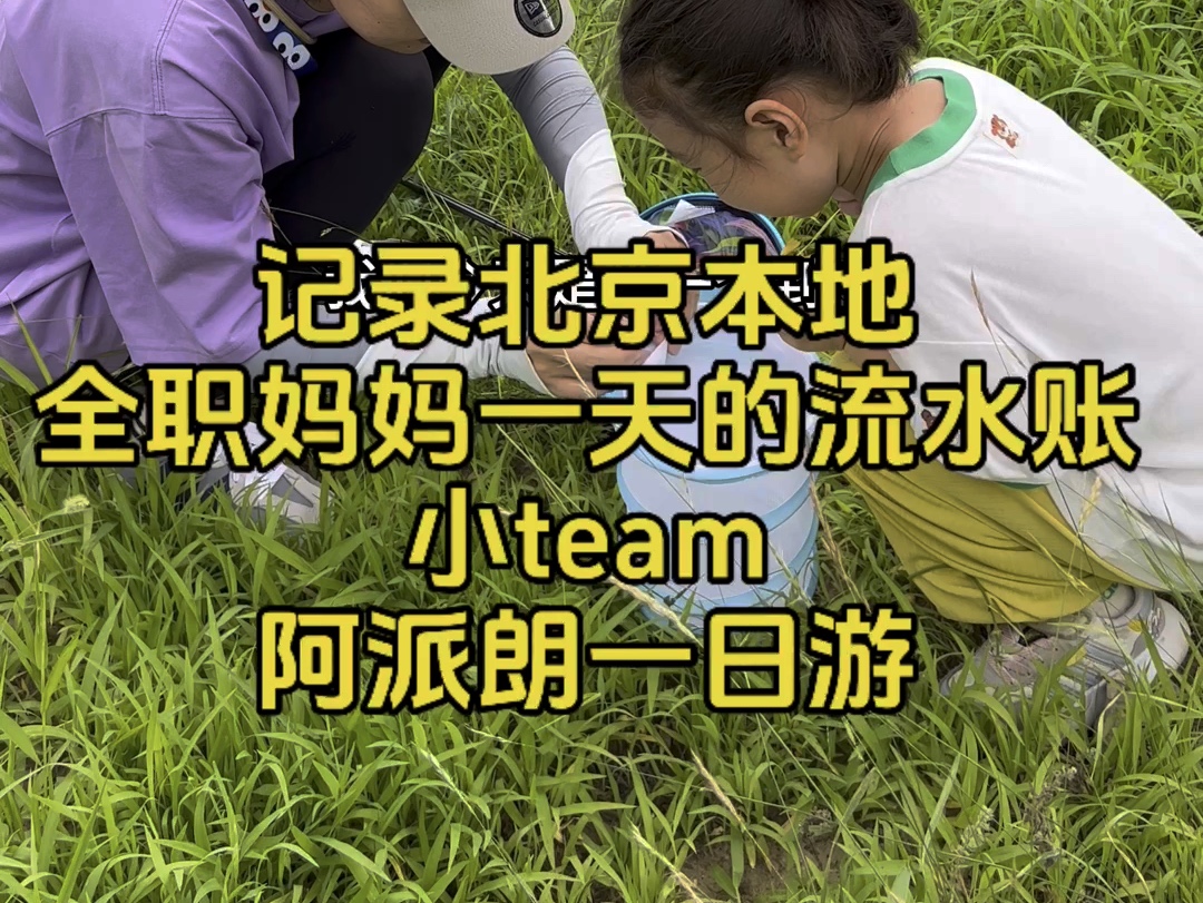 记录北京本地全职妈妈一天的流水账,小team 阿派朗一日游哔哩哔哩bilibili