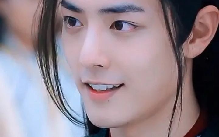 毁誉由人 得人不论#陈情令 魏无羡#肖战 魏无羡 神仙颜值 高清壁纸