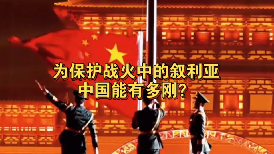 [图]为保护战火中的叙利亚中国能有多刚？