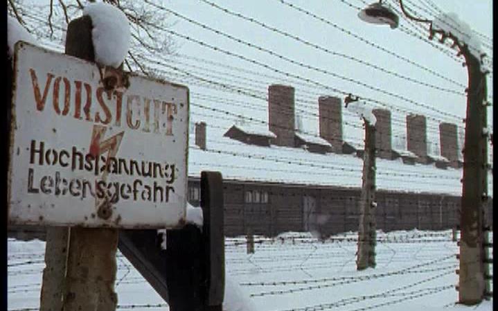 [图]【纪录片】奥斯维辛大审判.Verdict on Auschwitz（1993/中字）