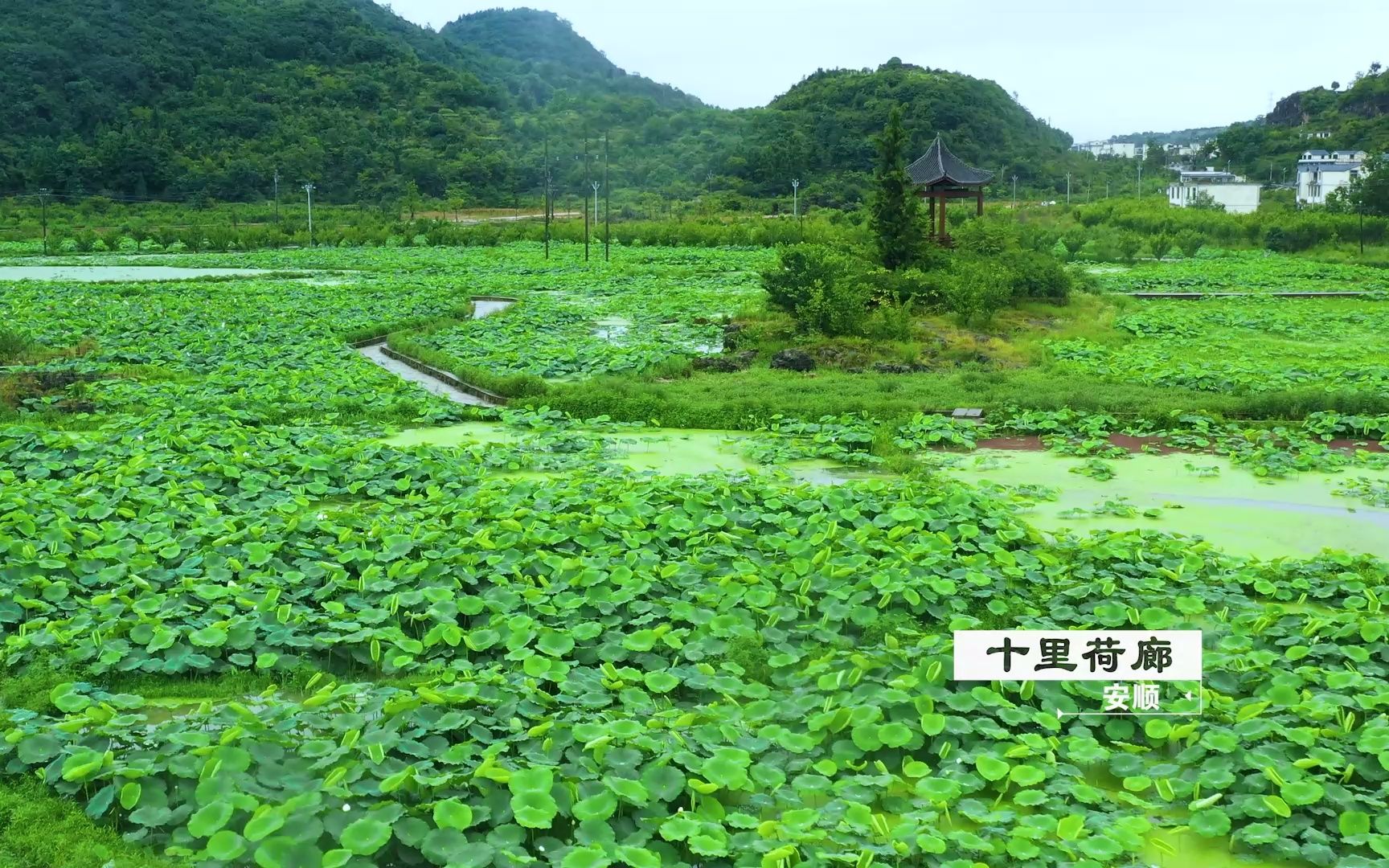 十里荷廊安顺