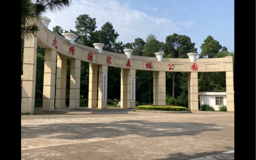 6.1 九峰国家森林公园 真的很"森林"!太适合夏天来啦!