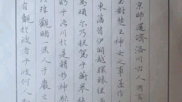 硬笔练字《赵孟頫行书洛神赋》