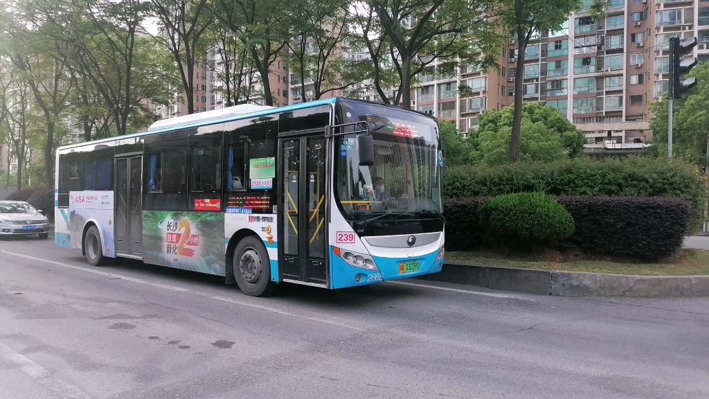 【长沙公交】长沙公交集团 239路 树木岭地铁站～九龙领仕汇前方展望
