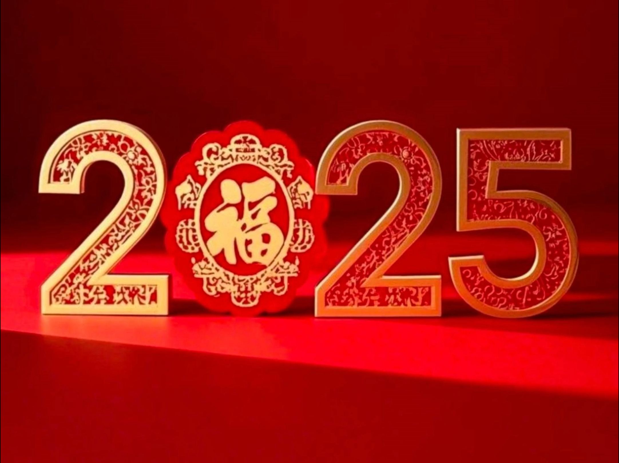 2025新年献词:一切愿景必有回甘!哔哩哔哩bilibili