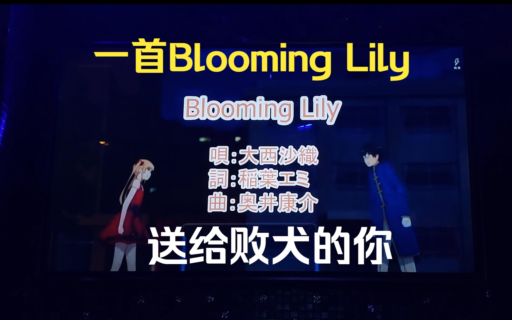 blooming lily图片