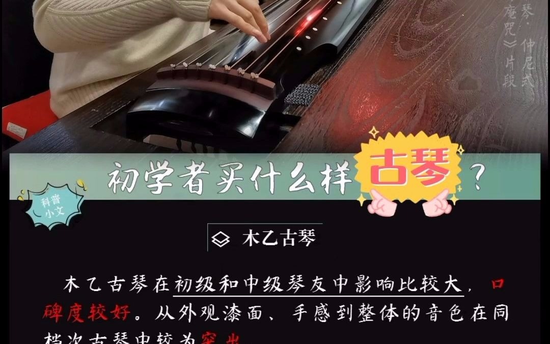 初学者买什么样古琴好(简析)哔哩哔哩bilibili