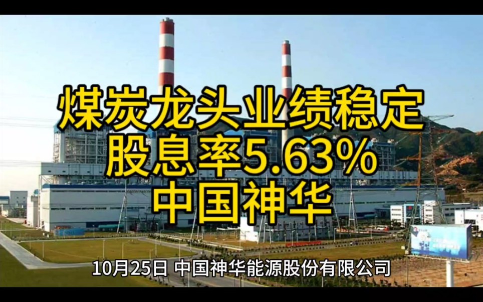 煤炭龙头业绩稳定,股息率5.63%中国神华哔哩哔哩bilibili