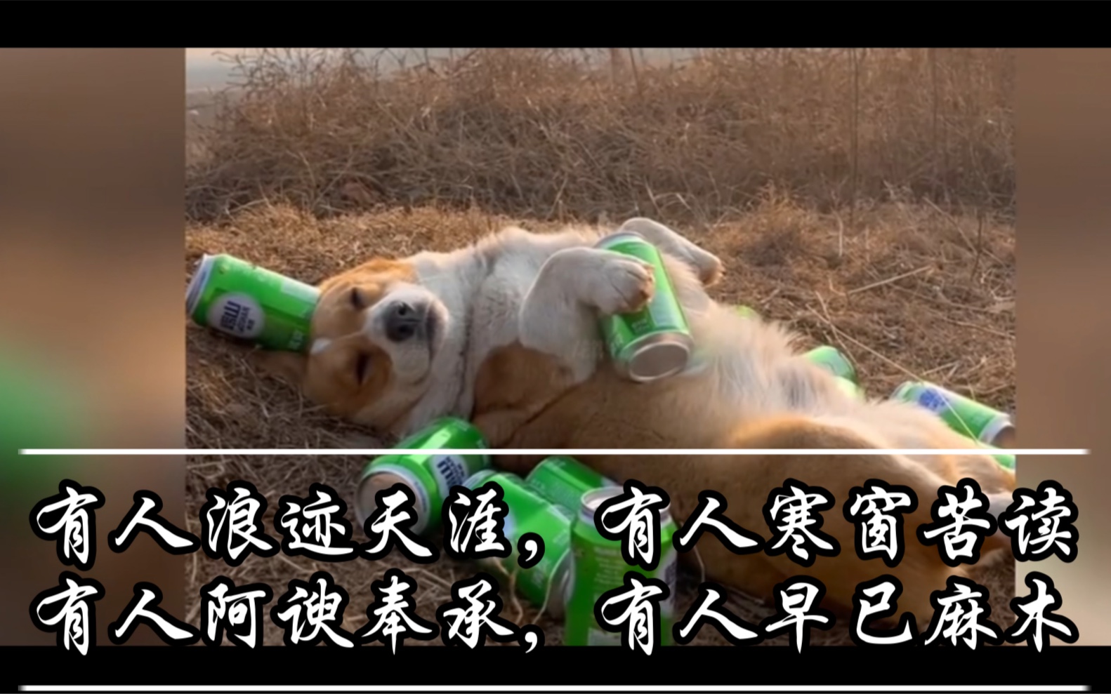 有人浪迹天涯有人寒窗苦读有人阿谀奉承有人早已麻木