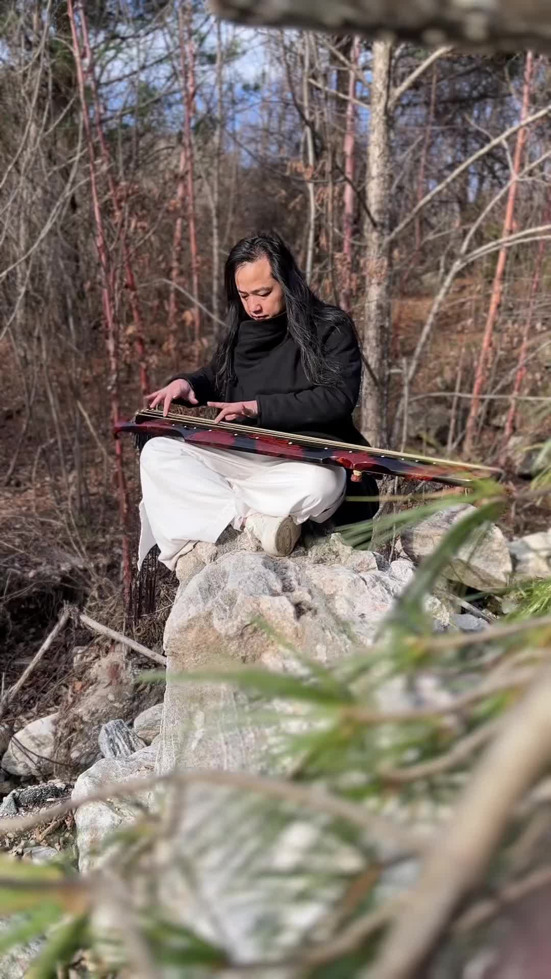 静下心来感受古琴的魅力古琴古琴线上课程古琴曲半山听雨