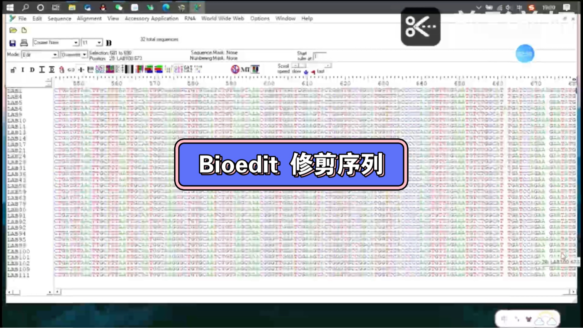 如何利用 Bioedit 修剪序列及 Mega 系统建树(感谢课题组师妹提供原创视频)哔哩哔哩bilibili