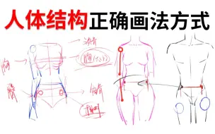 Download Video: 【板绘教程】全网最简单人体结构画法教程！帮你快速理解人体结构的画法！