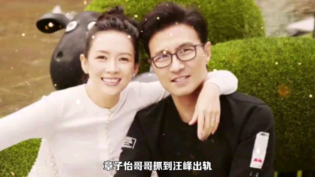 卓伟曝章子怡离婚内幕:章子怡哥哥抓到汪峰出轨,女方认识新大佬哔哩哔哩bilibili