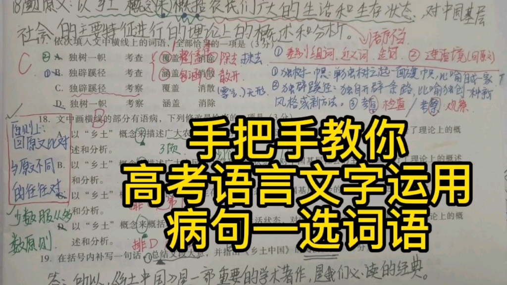 高考语文语言文字运用快准狠,语言文字运用选择词语题,语言文字运用病句选择题哔哩哔哩bilibili