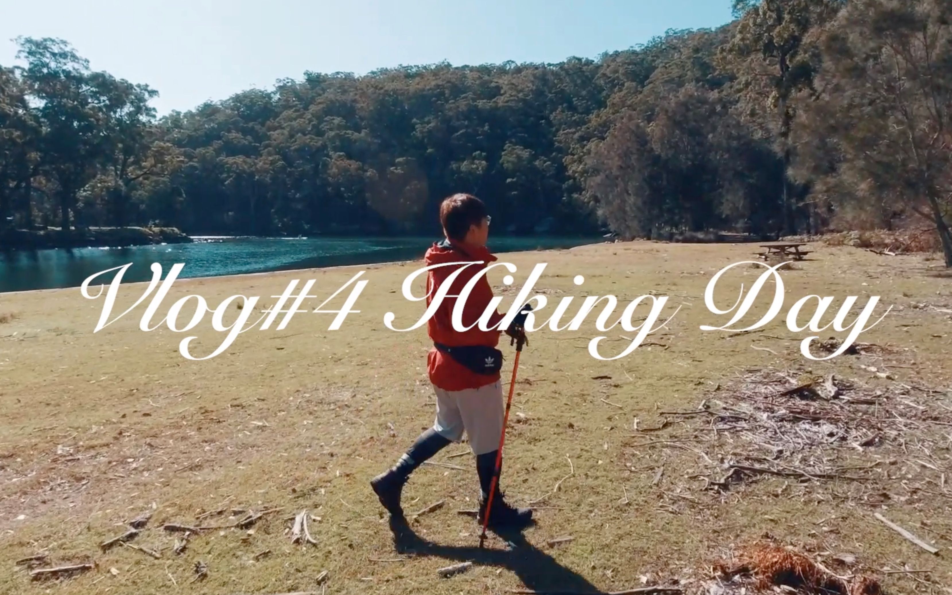 Vlog#4 Hiking Day/ Sydney Royal National Park/ 徒步登山哔哩哔哩bilibili