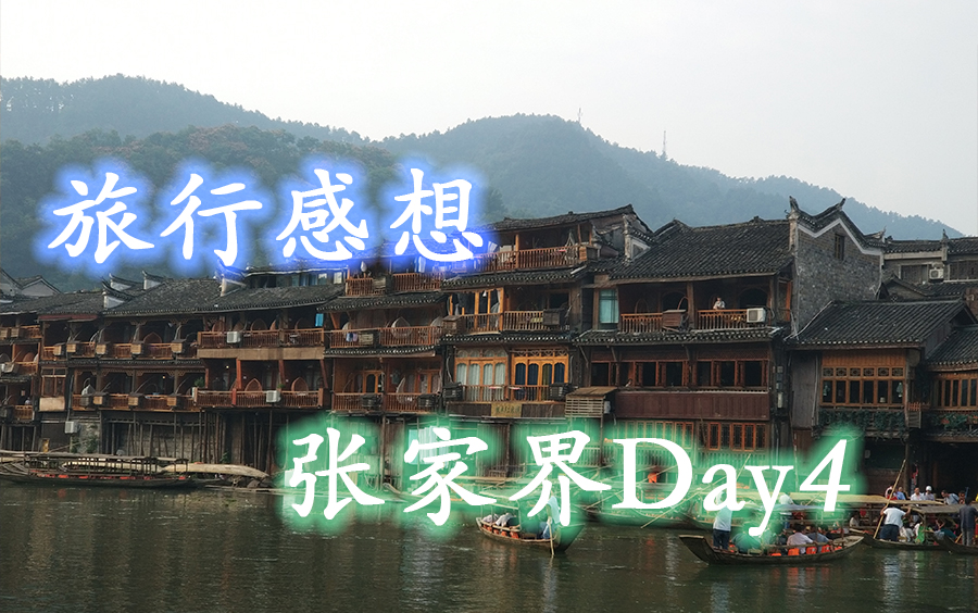 张家界之行Day4旅行感想哔哩哔哩bilibili