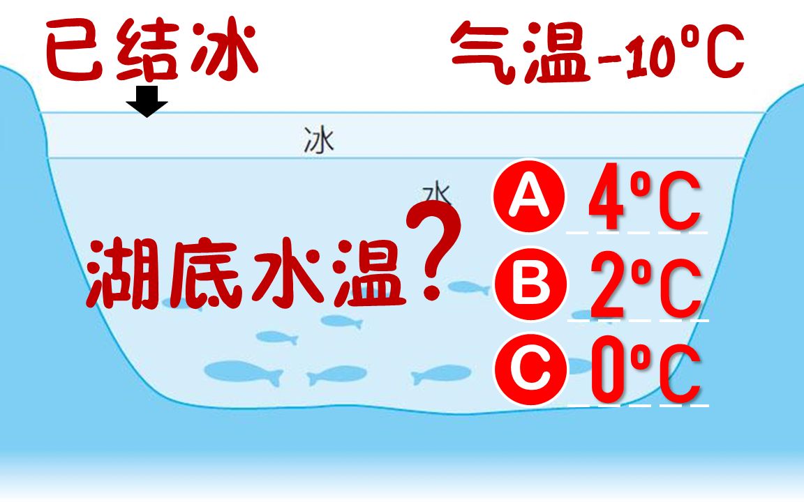 鱼儿是怎么过冬的?湖水为何不全部结冰?阿斌老师生动科普哔哩哔哩bilibili