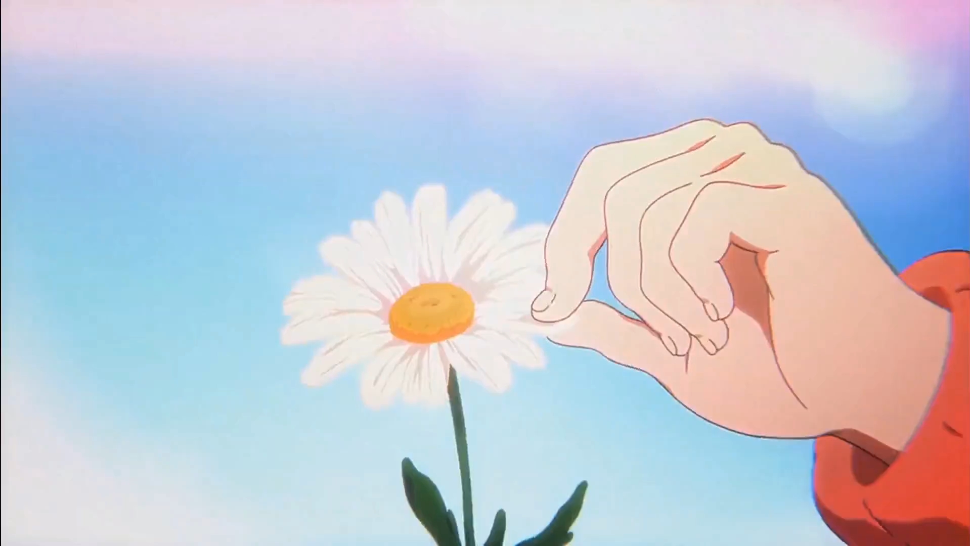 "风拂风又落 花开花满天"