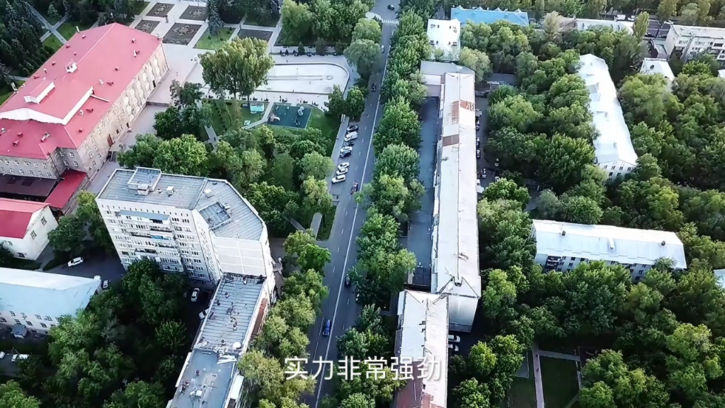 武汉大学:华中第一名校哔哩哔哩bilibili