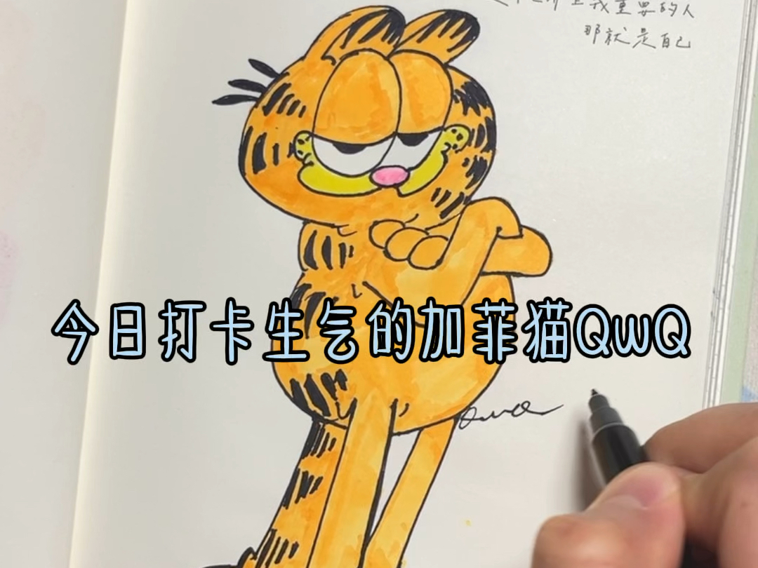 一只生气的加菲猫 加菲猫简笔画～ 临摹卡通人物