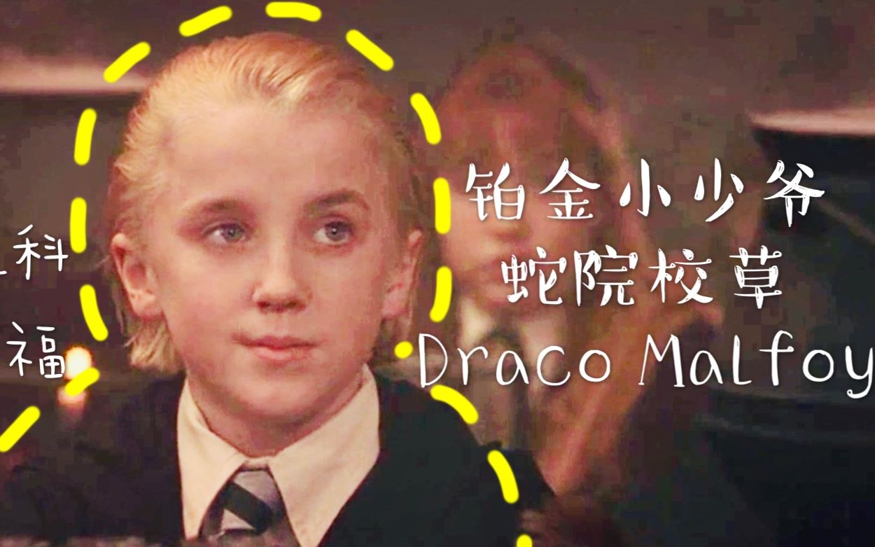 [hp]【德拉科·马尔福】进来领取小可爱少爷/拽哥单人向混剪