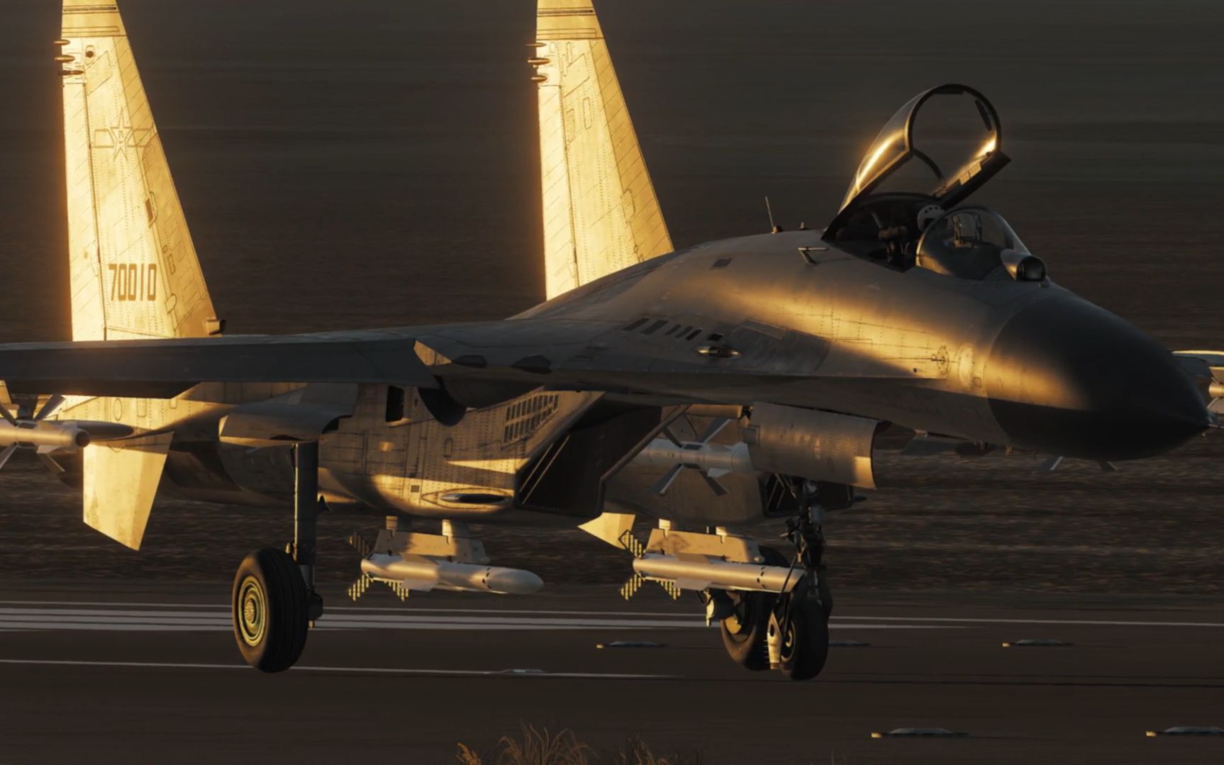 歼11低可视度涂装&跨昼夜飞行