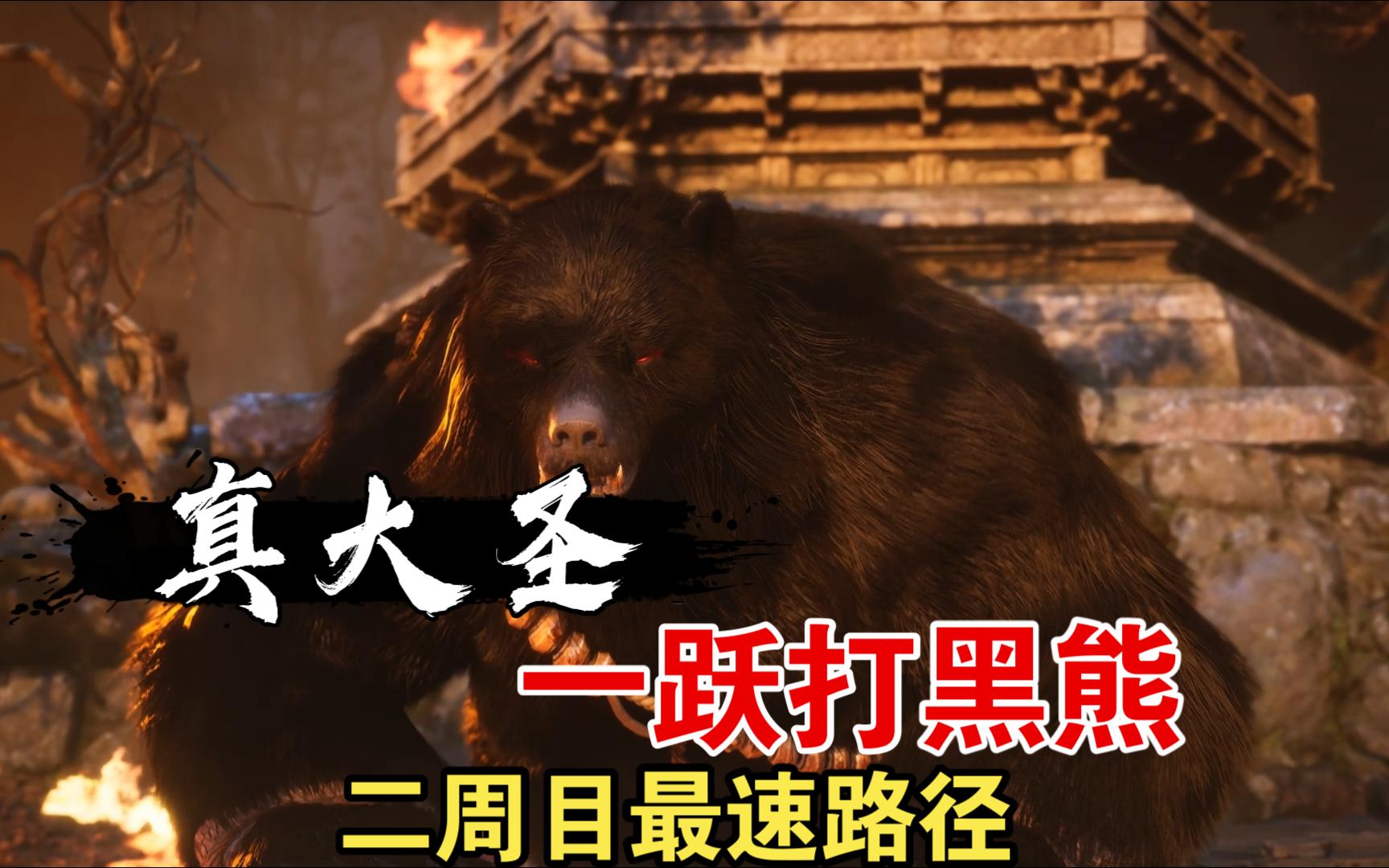 壁纸 动物 狗 狗狗 1728_1080