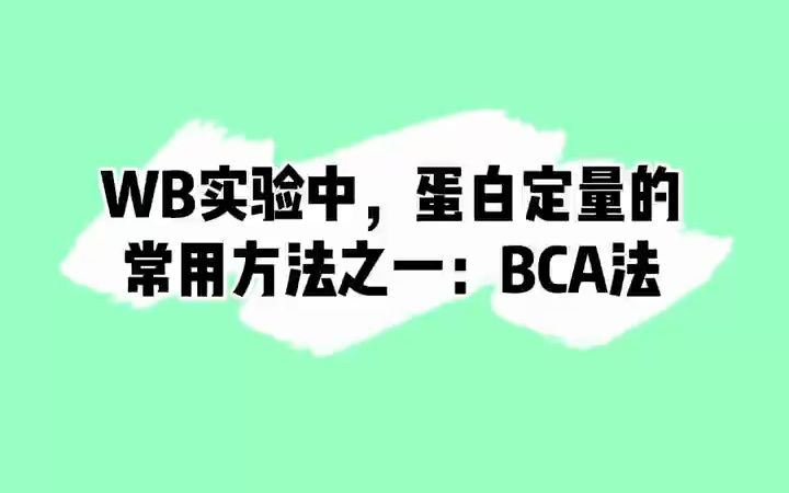 分享:WB实验中,蛋白定量的常用方法之一:BCA法的原理及特点#WB#蛋白定量#蛋白测定哔哩哔哩bilibili