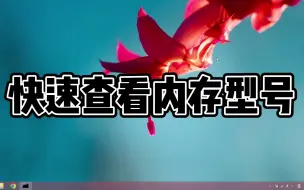 Download Video: 怎样快速查看内存型号