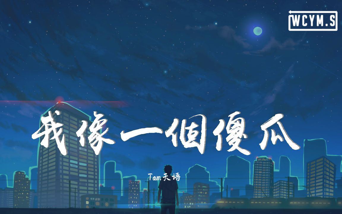 tam 天语 - 我像一个傻瓜 (抒情版)【動態歌詞/pīn yīn gē cí】