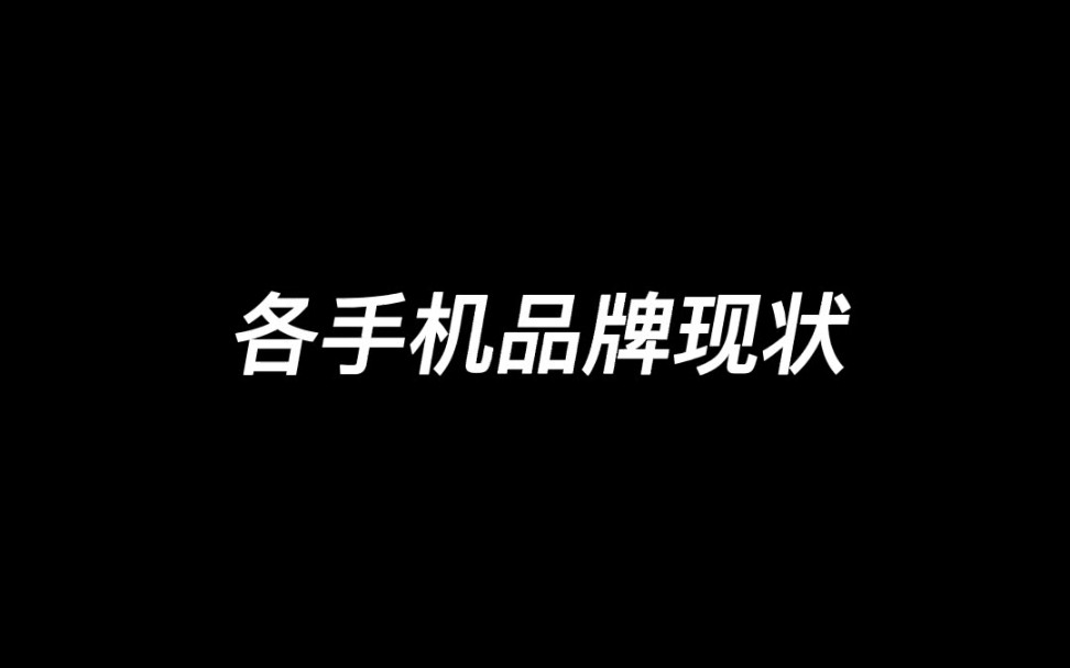 各手机品牌现状盘点,华为打磨4G、荣耀调教骁龙、vivo闷声发大财,还有人在用魅族吗?哔哩哔哩bilibili