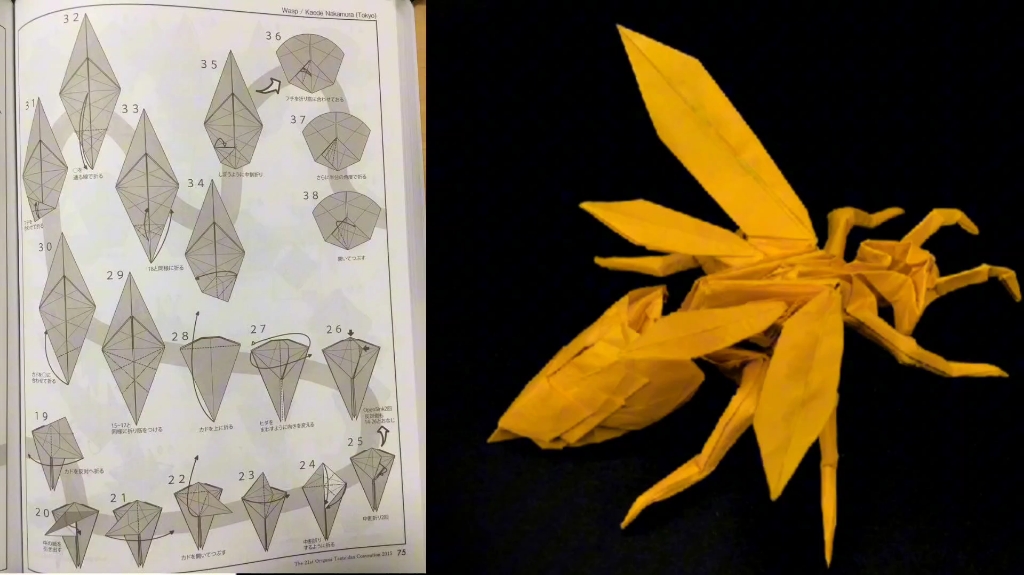 折纸黄蜂2.6图片