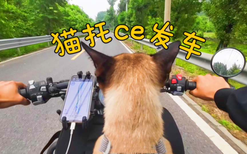 送煤老板去山里挖矿