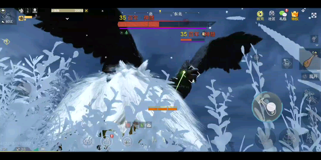 活动  妄想山海卡位无伤击杀神雕 巨彘