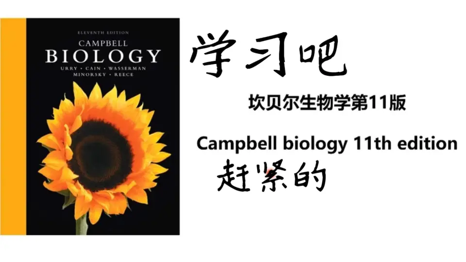 Campbell生物学完整章节讲解_哔哩哔哩_bilibili