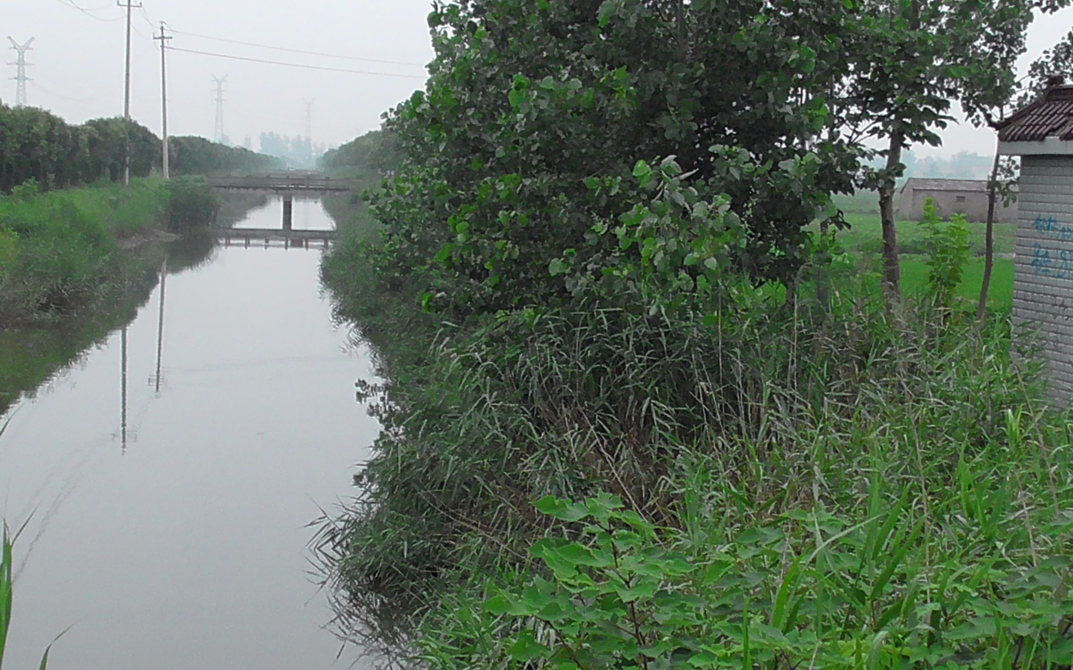 在农村像这样的小河沟,里面鲫鱼非常的多,一会功夫就钓了好多鱼
