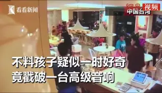 Video herunterladen: 熊孩子打烂了价值14万的音箱设备。熊妈妈厚颜无耻拒绝承认。店家无奈拿出监控视频画面……