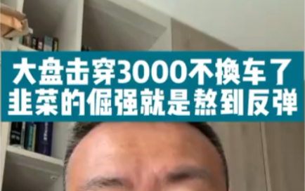 大盘击穿3000不换车了 韭菜的倔强就是熬到反弹哔哩哔哩bilibili