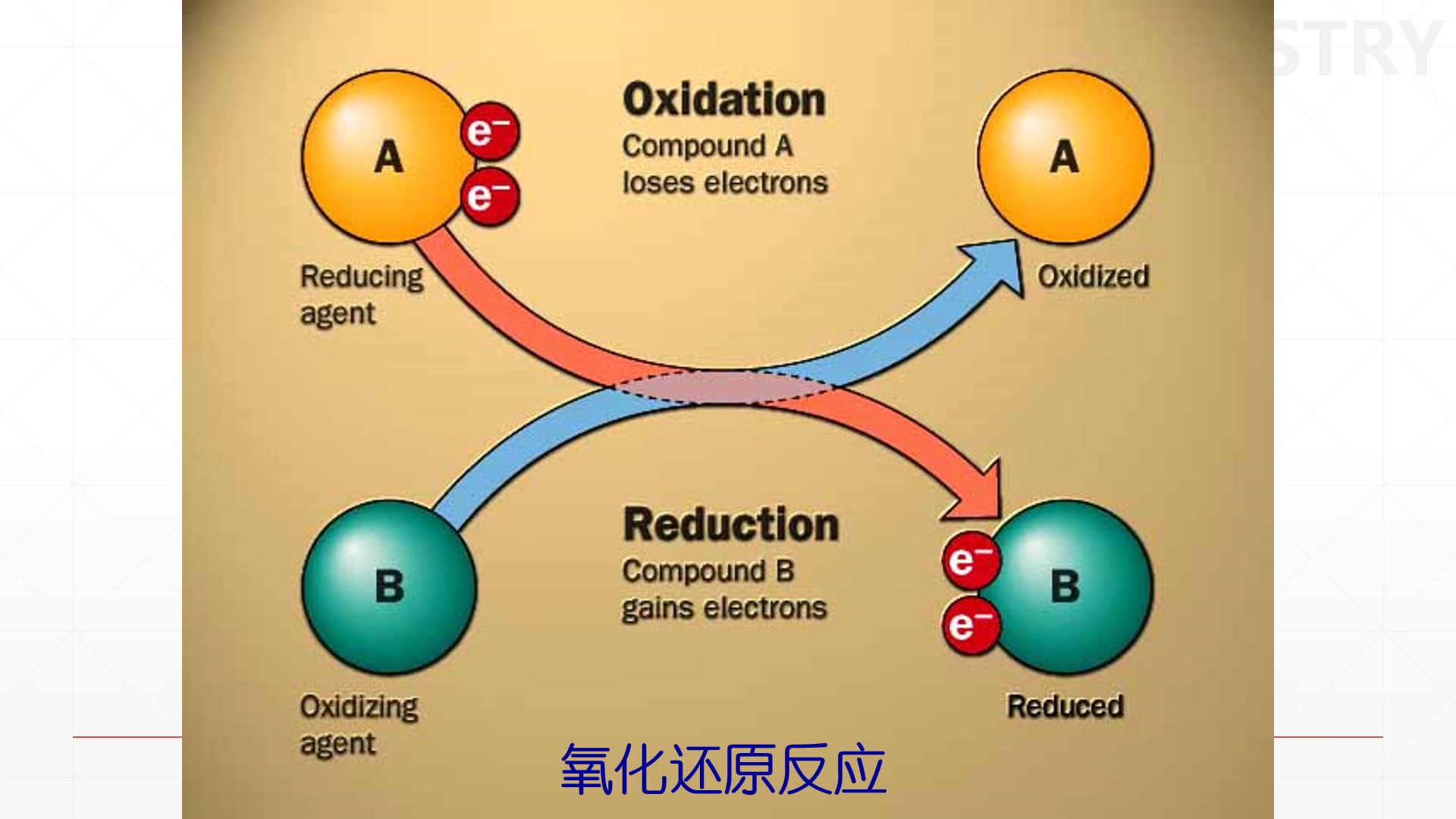 第五章 氧化磷酸化 PART1哔哩哔哩bilibili