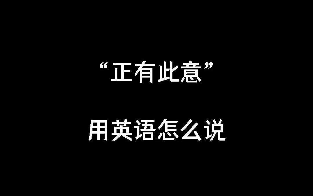 正有此意 用英语怎么说哔哩哔哩bilibili