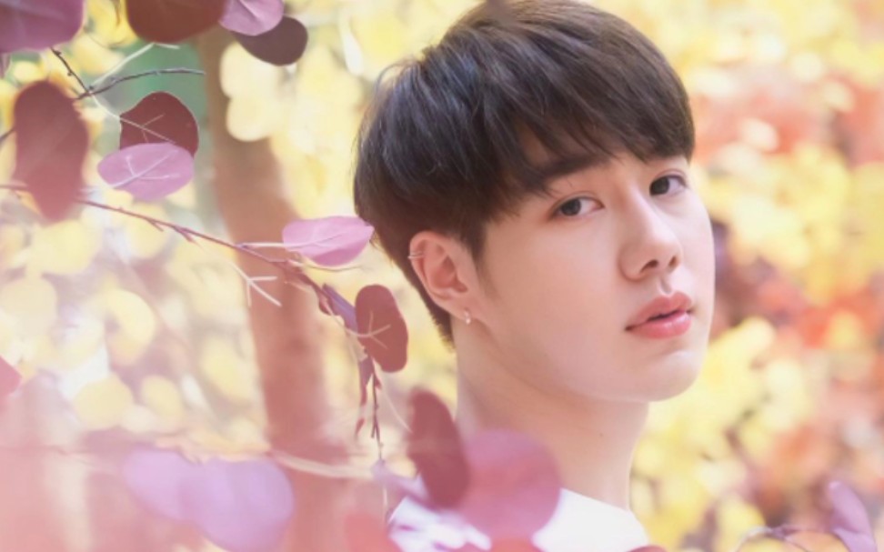 【petchpigz】泰腐剧《你是我的氧气》小受扮演者