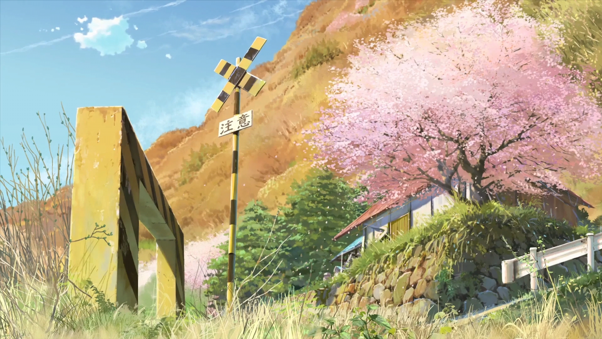 追逐繁星的孩子:四季予你