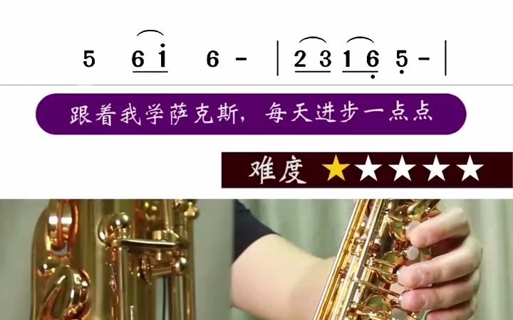 [图]经典草原歌曲《鸿雁》萨克斯初学者入门歌曲，练起来吧#萨克斯#经典老歌#草原歌曲#萨克斯教学