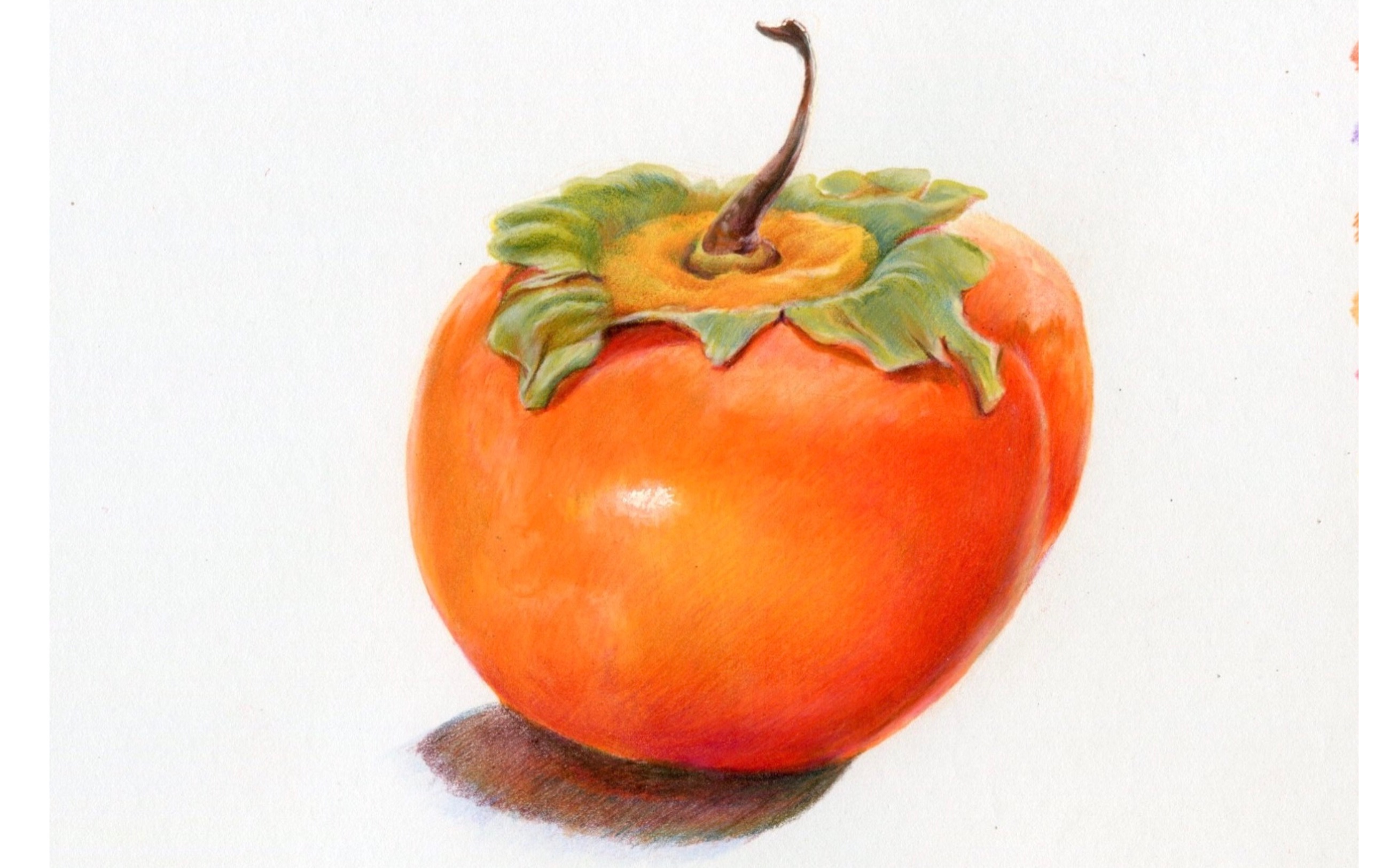 【彩铅】柿子