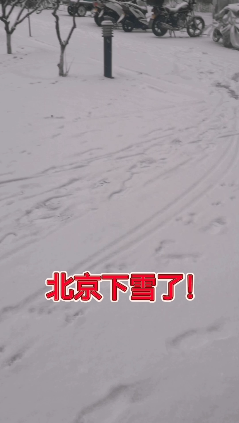 北京今天又下雪了!这是第三场雪,雪下的很大~哔哩哔哩bilibili