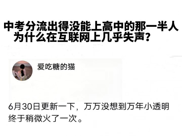 中考分流没能上高中的那一半人,为什么在互联网几乎失声?哔哩哔哩bilibili