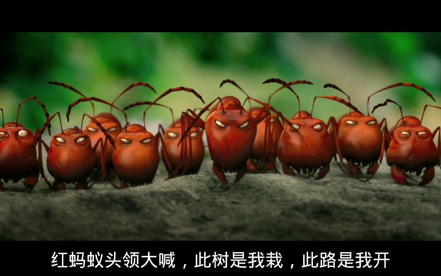 小瓢虫历险记之红蚂蚁强盗拦路打劫